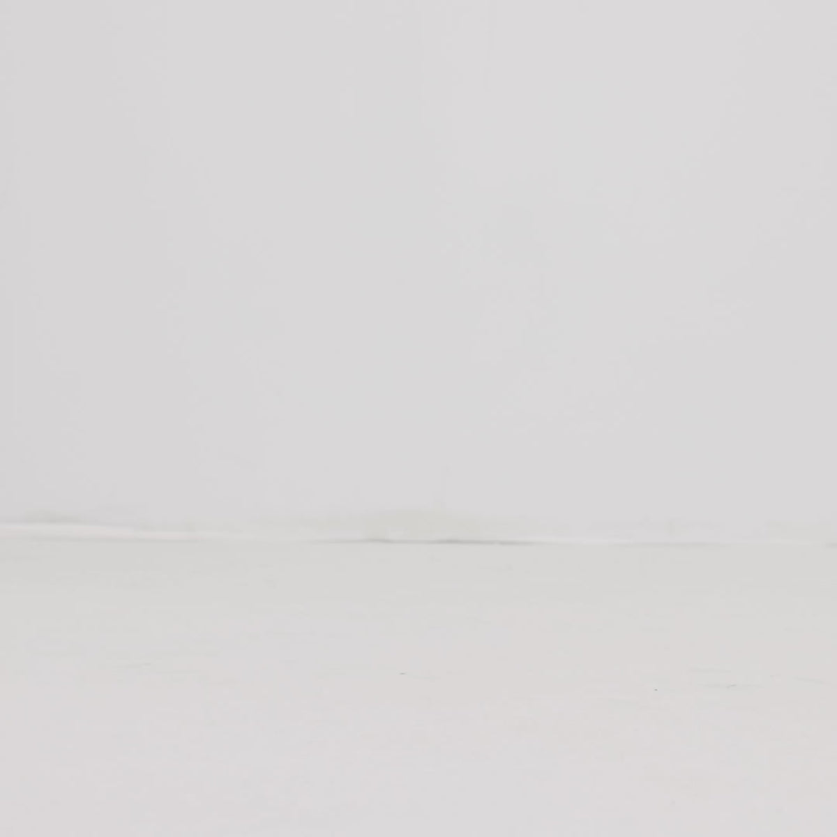 Video of a model walking wearing The Penny Loafer.